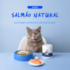 Lisina para gatos - 120g - Ajuda na imunidade e visão. Sabor salmão.