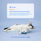 Lisina para gatos - 360g - Ajuda na imunidade e visão. Sabor salmão.