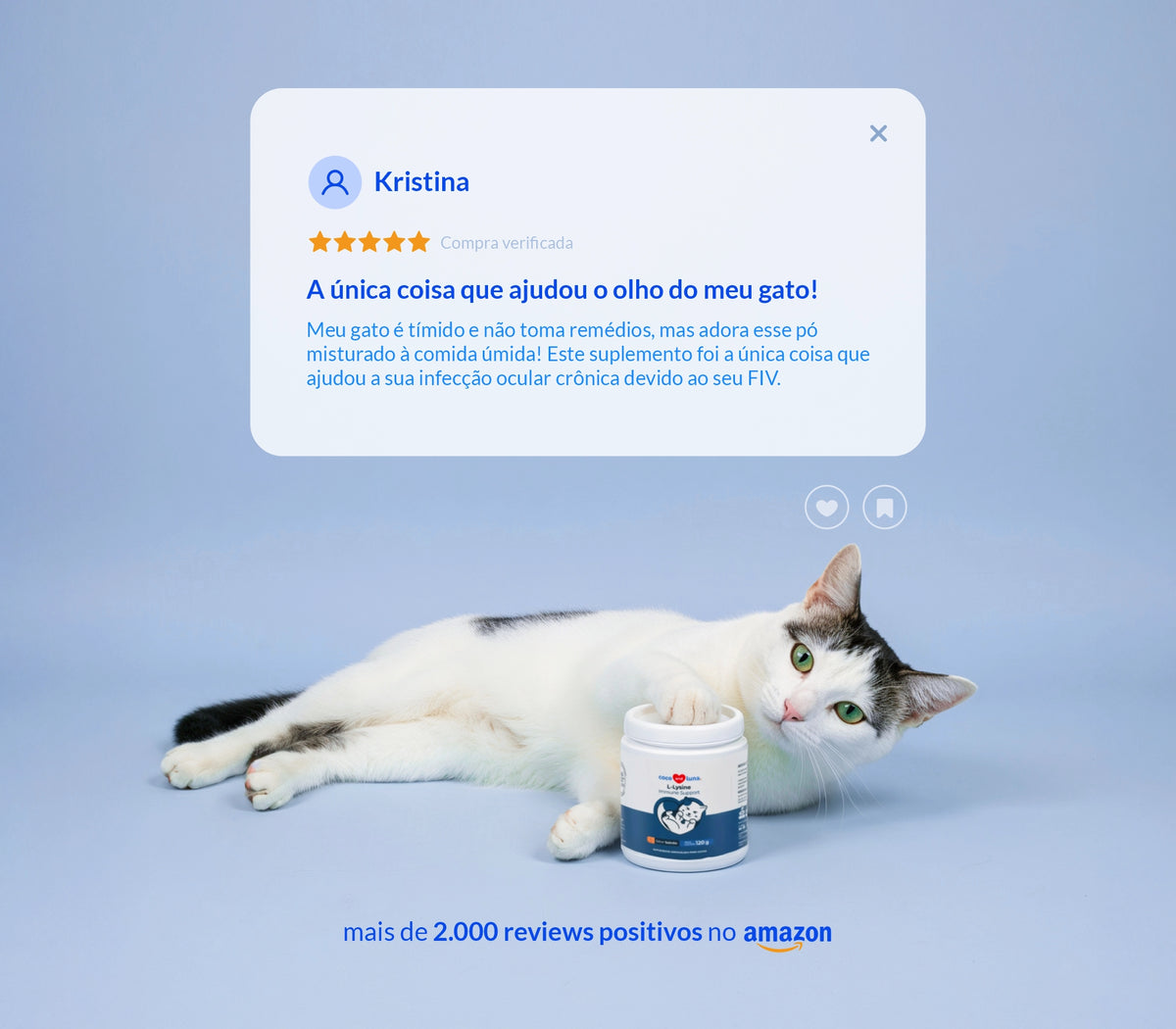 Lisina para gatos - 120g - Ajuda na imunidade e visão. Sabor salmão.