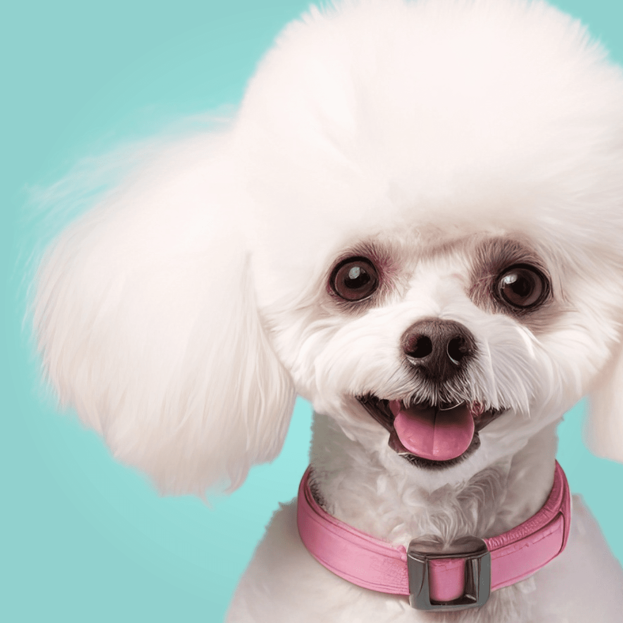 Probióticos para Cães - 60 Tabletes Saborizados
