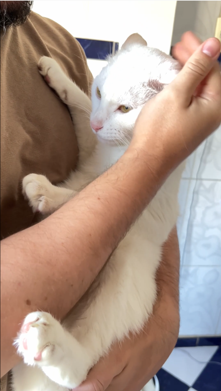 Thumbnail do vídeo