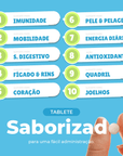 Multivitamínico 10 em 1 para Cães - 60 Tabletes Saborizados