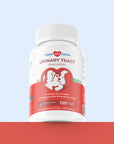 Urinary Tract